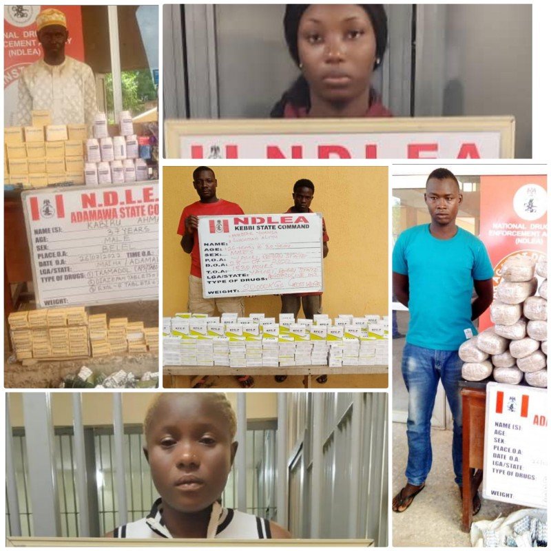 1659269316207_copy_800x800 - Newscoven NDLEA Intercepts N1.375 billion Tramadol Tabs