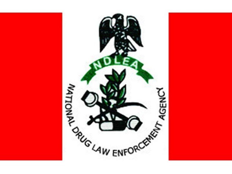 NDLEA Made No Request For Sniffer Dogs In 2023 Budget