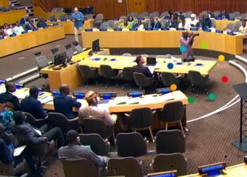 ECOWAS Makes Case For Building Blocks To Strengthen Multilateralism