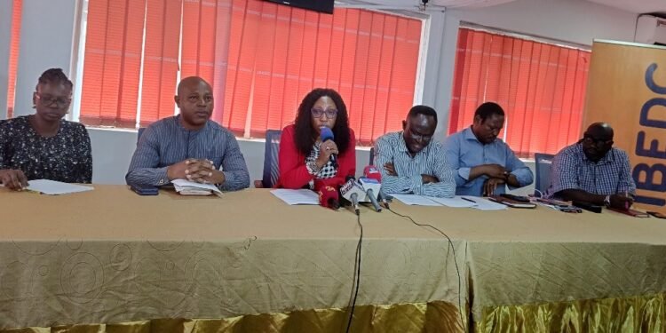 Lalupon Power Darkness: IBEDC Assured Of Restoration In 3 Weeks