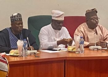 NASS Committed To Strengthening Nigeria’s Electoral Framework -Alli