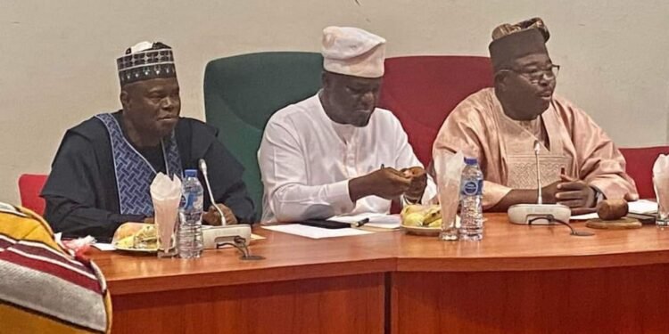 NASS Committed To Strengthening Nigeria’s Electoral Framework -Alli