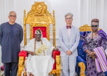 Olubadan To Belgian Govt: Invest In Ibadan Arable Land