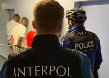 Interpol In Technological Arms Race With Black Axe, Nigerian Mafia