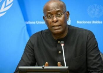 Humanitarian Crises: Why Nigeria Needs Collective Response -UN Rep, Fall