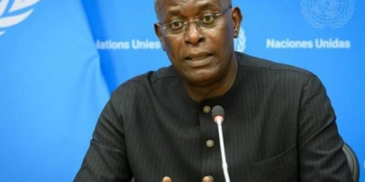 Humanitarian Crises: Why Nigeria Needs Collective Response -UN Rep, Fall