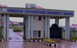 Vice-Chancellor of Precious Cornerstone University (PCU), Ibadan, Professor Timothy Olubisi Adejumo, has urged the Federal Government to extend the Tertiary Education Trust Fund (TetFund) and the Nigerian Education Loan Fund (NELFund) to private universities in the country.