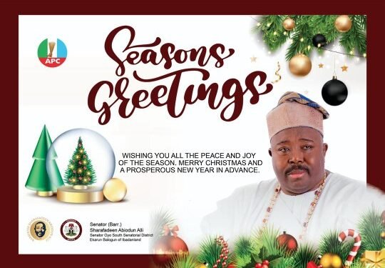 Alli-20241224-WA0145_copy_540x382 - Newscoven Christmas: Alli Urges Prayers For National Progress