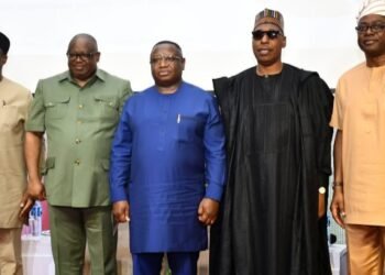 African Countries Can Ensure Global Food Sufficiency -Makinde