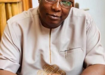 Ojudu Joins Panel Discussion On IBB's Book