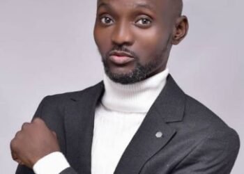 The Paradox Of Ponzi Schemes: A Complex Wealth Redistribution Phenomenon