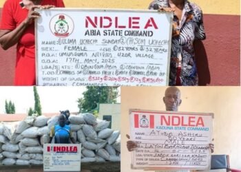 NDLEA Arrests 80-Yr-Old Ex-Convict, 82-Yr-Old Grandma •Intercepts ₦3.2bn Opioids