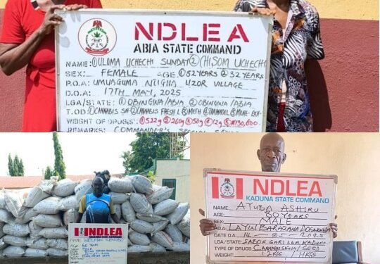 Arrested-Drug-Suspects-NDLEA_copy - Newscoven NDLEA Arrests 80-Yr-Old Ex-Convict, 82-Yr-Old Grandma •Intercepts ₦3.2bn Opioids