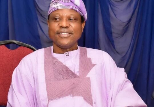 OPINION: Oseni: The Man Who Sees The Unseen Future