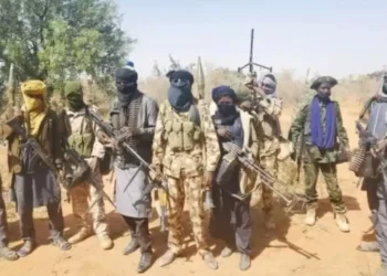 Palpable Fear Envelopes Kaduna Community Over Bandits Attack