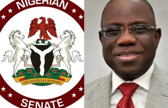 ₦200Tn Discrepancies: Senate Threatens Sanctions Against NNPCL •Issues 10-Day Ultimatum To GCEO