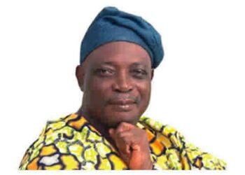 North Cries of Hunger, South Learns To Farm: The Turning Point Nigeria Ignored