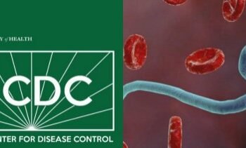 No Cases Of Ebola Virus In Nigeria -NCDC •Issues Health, Travel Advisory