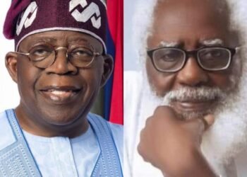 President-Bola-Tinubu-Dr-Kayode-Fayemi_copy_600x544 - Newscoven Farounbi To Tinubu: Visiting Trump Is Politically Insensitive, Diplomatically Unnecessary