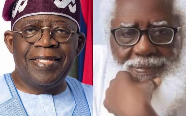 Farounbi To Tinubu: Visiting Trump Is Politically Insensitive, Diplomatically Unnecessary
