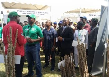 Oyo-Gov-Makinde-2025-Agribusiness-Intl-Summit_copy_1016x722_1 - Newscoven 2025 Agribusiness Int'l Summit: We’ve Transformed Agriculture Via Institutional Reforms -Makinde