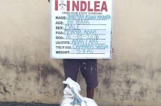 NDLEA Re-Arrests 80-Year-Old Ex-Convict •Illicit Drugs Found In Mannequins