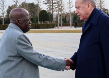 President-Tinubu-Nigeria-President-Erdogan-Turkey_copy_540x457_1_1 - Newscoven Nigeria: Handshakes, Headlines And Nothing Else