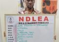 Brazilian-Returnee-Uche-Franklin-Onyekwere_copy_812x774_1_1 - Newscoven NDLEA Arrests Brazil Returnee, Onyekwere, With Cocaine Concealed In Private Part