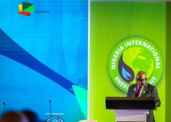 Over 600 Million Africans Lack Access To Electricity -Ojulari