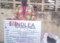 NDLEA-80-Year-Old-Grandpa_copy_607x555_1 - Newscoven NDLEA Arrests 80-Year-Old Grandpa, Intercepts Large Consignments Of Illicit Drugs