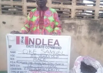 NDLEA Arrests 80-Year-Old Grandpa, Intercepts Large Consignments Of Illicit Drugs