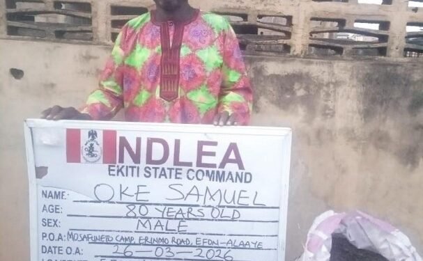 NDLEA-80-Year-Old-Grandpa_copy_607x555_1 - Newscoven NDLEA Arrests 80-Year-Old Grandpa, Intercepts Large Consignments Of Illicit Drugs