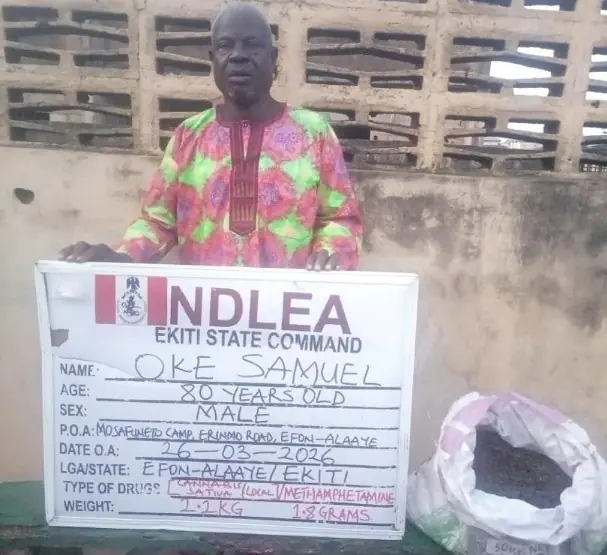 NDLEA Arrests 80-Year-Old Grandpa, Intercepts Large Consignments Of Illicit Drugs