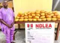 NDLEA-Ex-Lagos-LG-Councilor_copy_1024x671_1_1_1_1 - Newscoven NDLEA Nabs Ex-Lagos LG 2-Term Councilor With Illicit Drugs