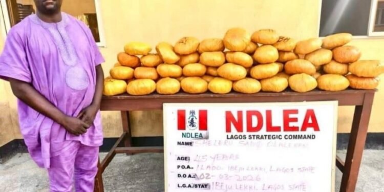 NDLEA Nabs Ex-Lagos LG 2-Term Councilor With Illicit Drugs