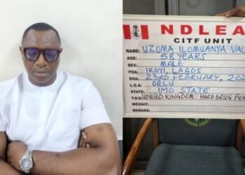 After 15 Years On The Run, NDLEA Arrests Fugitive Drug Lord Wanted In UK