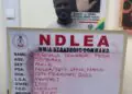 Chidiebere, Wanted Drug Kingpin, Surrenders To NDLEA After 13 Years In Hiding