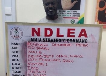 Chidiebere, Wanted Drug Kingpin, Surrenders To NDLEA After 13 Years In Hiding