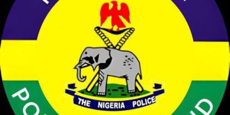 Rivers Police Begins Clampdown On Covered Number Plates
