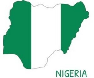 Democracy On Trial: Power, Precedent And The Fragility Of Nigeria's Republics