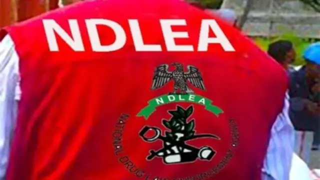 NDLEA Intercepts Illicit Drugs In Food Flasks, Snacks, Arrests Fashion Designer, Others