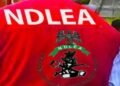 Back view of a red NDLEA jacket with the agency emblem and the letters NDLEA across the top.