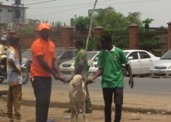 OYRLEA-Ram-Obafemi-Awolowo-Stadium-Illegal-Structures_copy_631x301_1 - Newscoven OYRLEA Demolishes Illegal Structures, Removes Vehicles, Livestock At Obafemi Awolowo Stadium