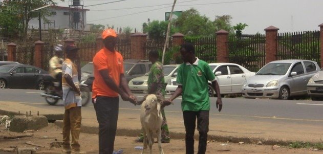 OYRLEA-Ram-Obafemi-Awolowo-Stadium-Illegal-Structures_copy_631x301_1 - Newscoven OYRLEA Demolishes Illegal Structures, Removes Vehicles, Livestock At Obafemi Awolowo Stadium