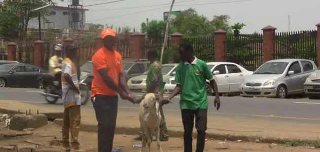 OYRLEA Demolishes Illegal Structures, Removes Vehicles, Livestock At Obafemi Awolowo Stadium