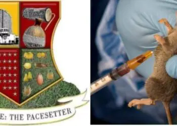 We Have Lassa Fever In Oyo State -Govt