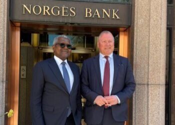 Africa Investments: Norwegian Sovereign Wealth Fund Meets Dangote Group