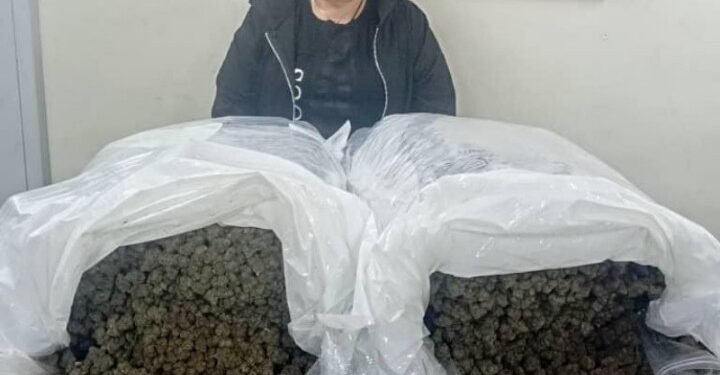 NDLEA Nabs Chinese Grandma, 63, With Illicit Drug