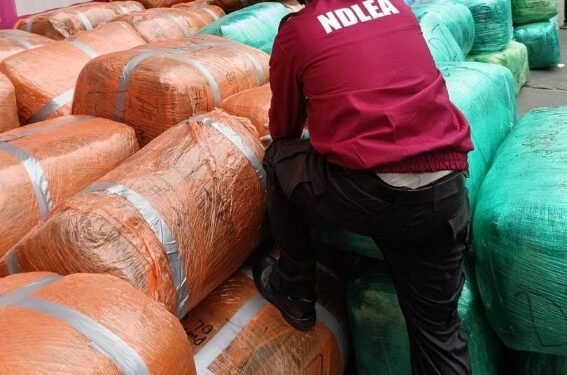 NDLEA Recovers ₦12.3Bn Loud In Lagos