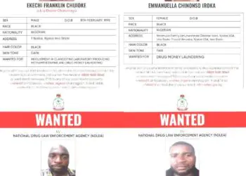 NDLEA Blocks ₦9.8Bn Drug Money, Declares Kingpin, 3 Others Wanted